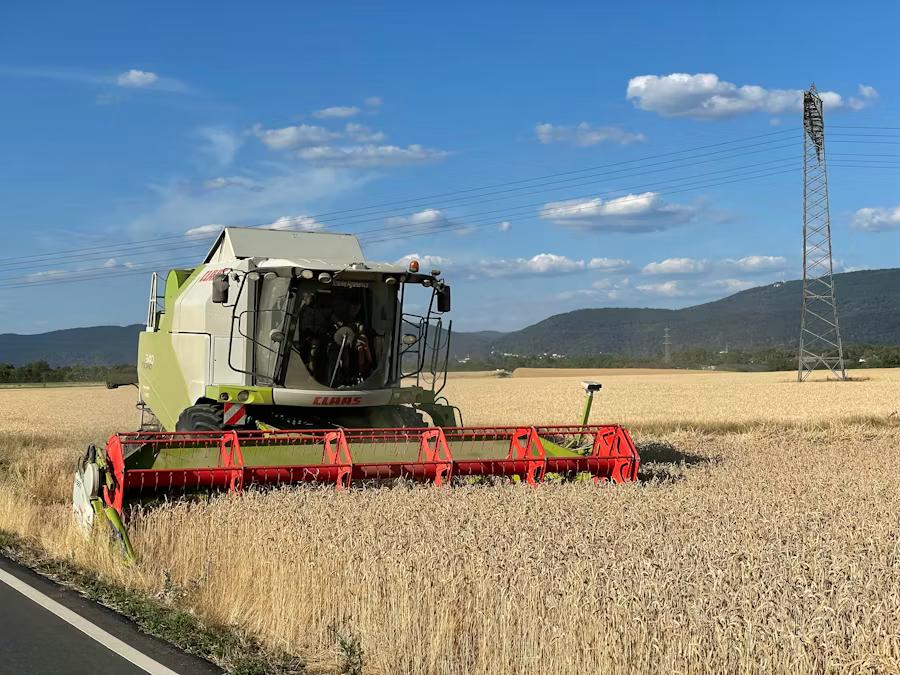 whatsapp image 2026 03 13 at 10.56.09 am