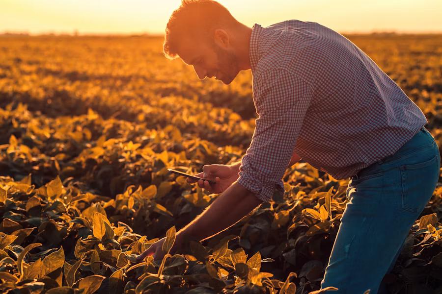 whatsapp image 2026 03 13 at 10.56.56 am