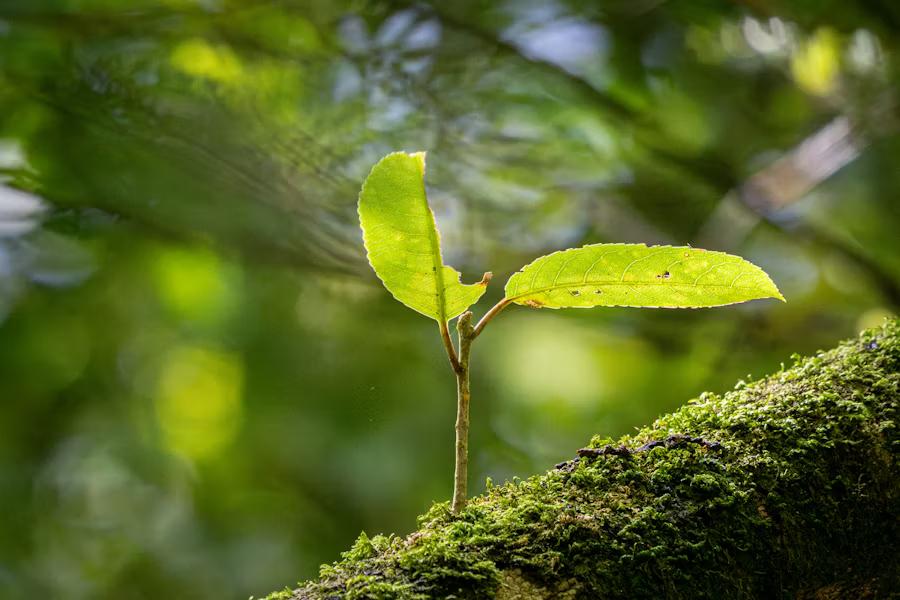 f4abf7cd f9df 4a7a af0c 454bdef36aa3