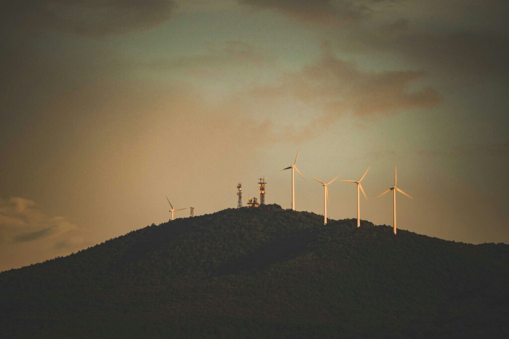 francesco ungaro 4b2bvqjofvu unsplash.jpg