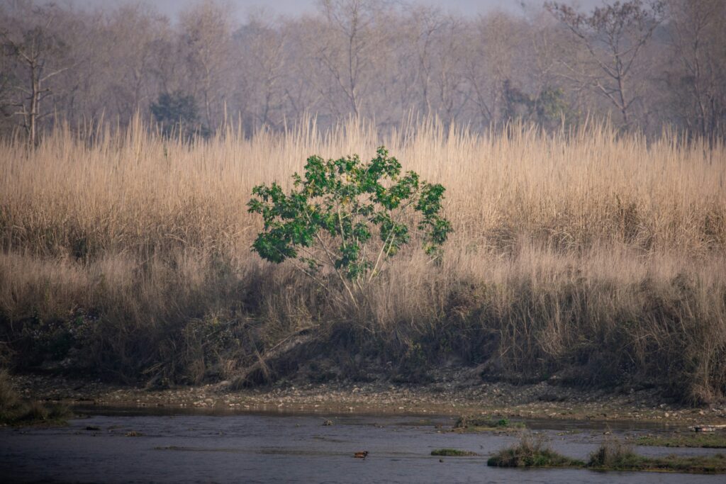 sushanta rokka 6jei7epc7bw unsplash.jpg